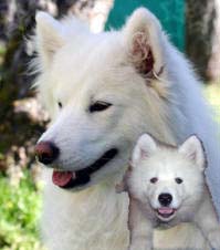 Akila-2006-Leona-2007