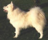 Samosennen's Cleo Crusenstern