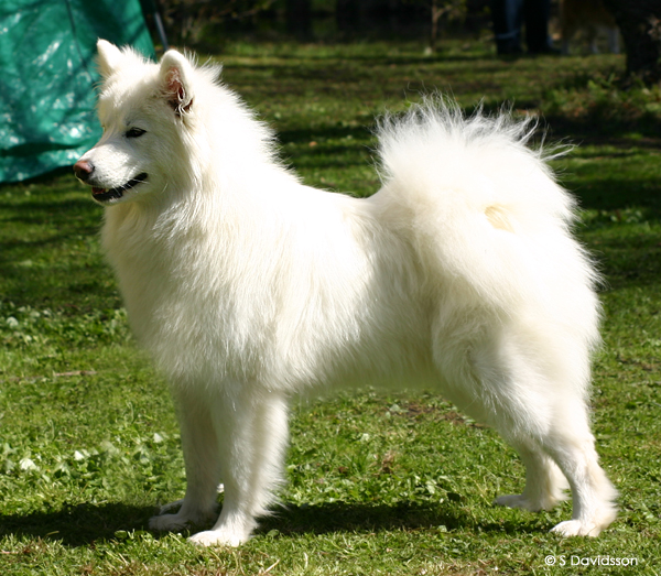 Akila 14 maj 2005, Hgsbobruk.