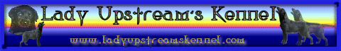 Lady Upstream�s Kennel 