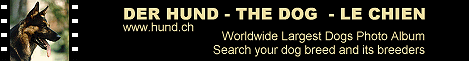 DER HUND - THE DOG - LE CHIEN